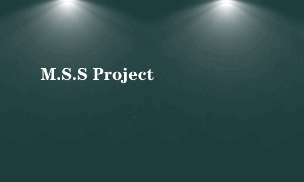 M.S.S Project