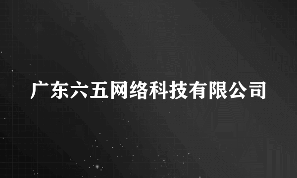 广东六五网络科技有限公司