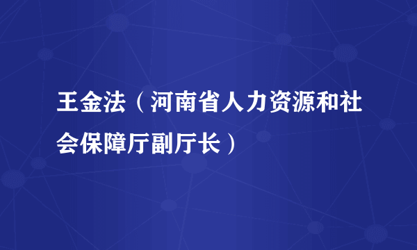 王金法（河南省人力资源和社会保障厅副厅长）