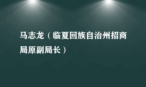 马志龙（临夏回族自治州招商局原副局长）