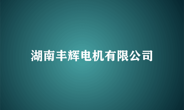 湖南丰辉电机有限公司