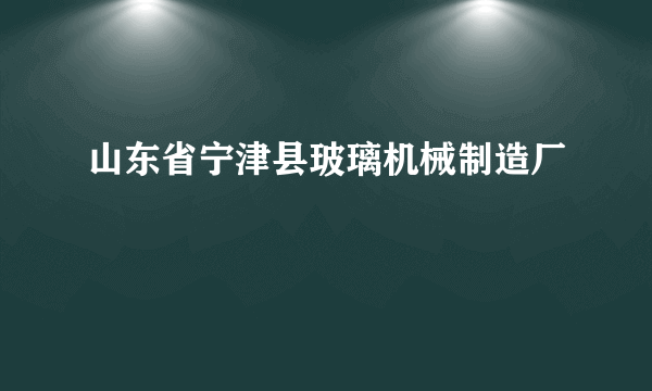 山东省宁津县玻璃机械制造厂