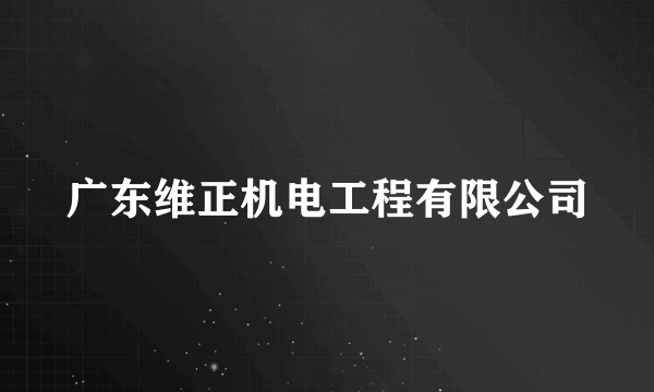 广东维正机电工程有限公司