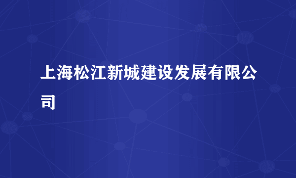 上海松江新城建设发展有限公司