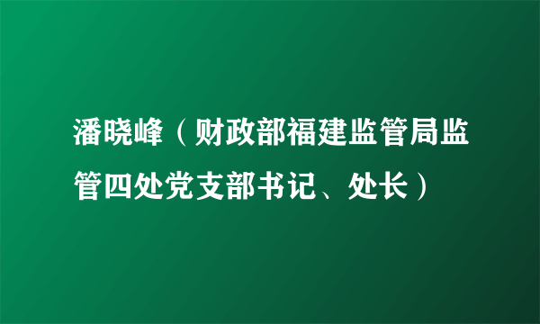 潘晓峰（财政部福建监管局监管四处党支部书记、处长）