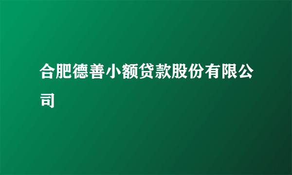 合肥德善小额贷款股份有限公司