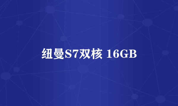 纽曼S7双核 16GB