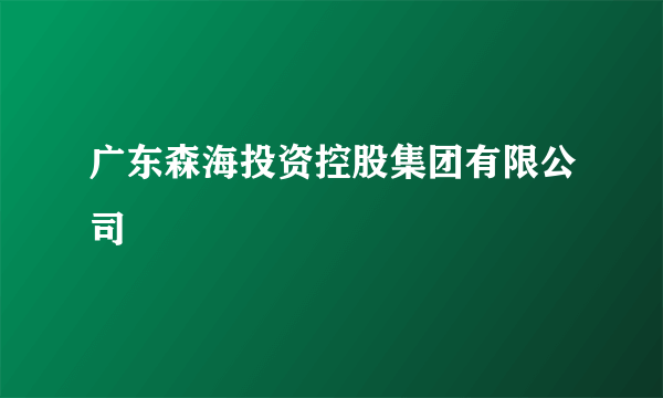 广东森海投资控股集团有限公司