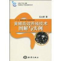 黄鳝高效养殖技术图解与实例