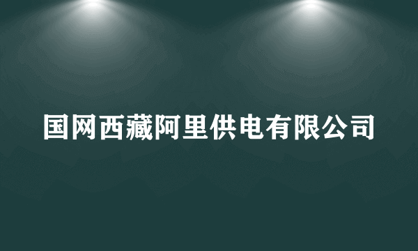 国网西藏阿里供电有限公司