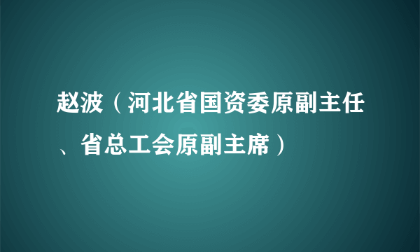 赵波（河北省国资委原副主任、省总工会原副主席）