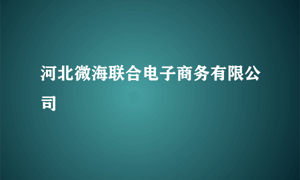 河北微海联合电子商务有限公司