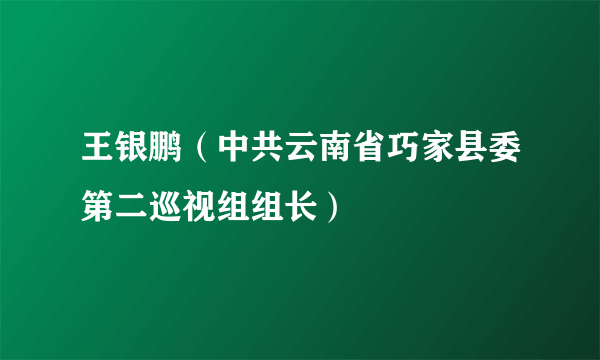 王银鹏（中共云南省巧家县委第二巡视组组长）