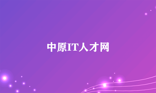 中原IT人才网