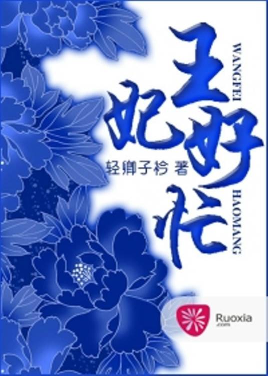 王妃好忙（轻卿子衿创作小说）