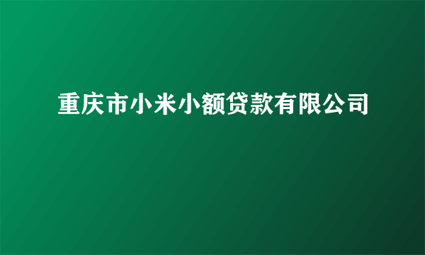 重庆市小米小额贷款有限公司