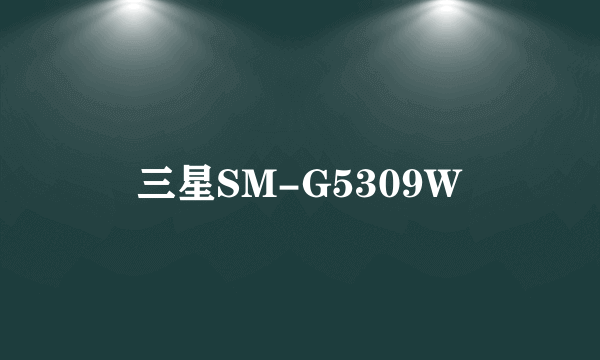 三星SM-G5309W