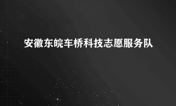 安徽东皖车桥科技志愿服务队