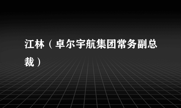 江林（卓尔宇航集团常务副总裁）