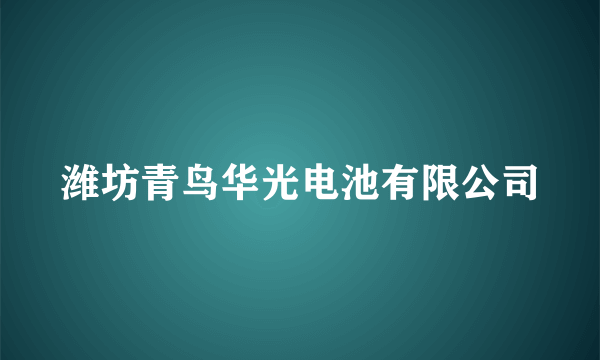 潍坊青鸟华光电池有限公司