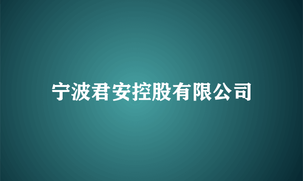 宁波君安控股有限公司