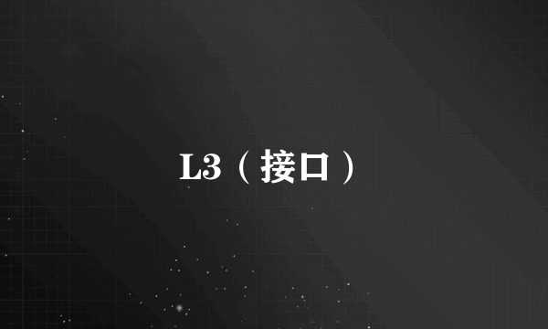 L3（接口）