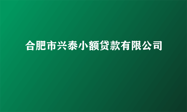 合肥市兴泰小额贷款有限公司