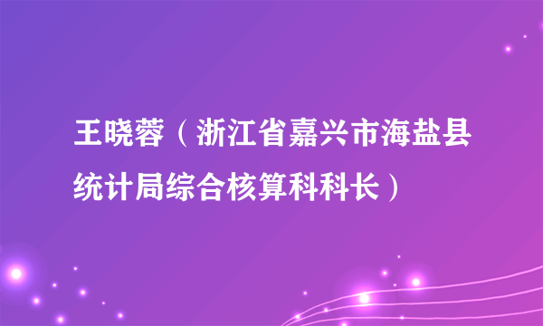 王晓蓉（浙江省嘉兴市海盐县统计局综合核算科科长）