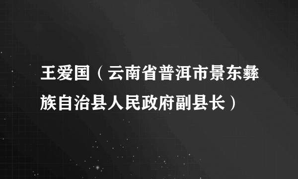 王爱国（云南省普洱市景东彝族自治县人民政府副县长）