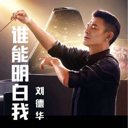 谁能明白我（2020年刘德华演唱歌曲）