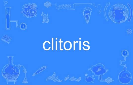 clitoris