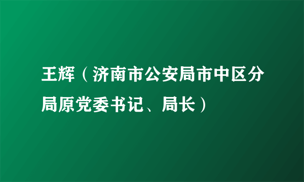 王辉（济南市公安局市中区分局原党委书记、局长）