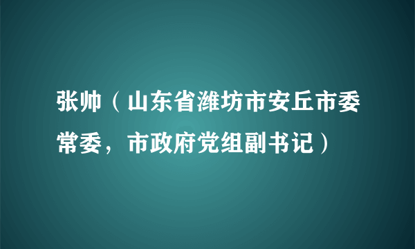 张帅（山东省潍坊市安丘市委常委，市政府党组副书记）