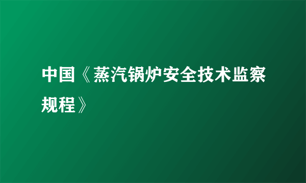 中国《蒸汽锅炉安全技术监察规程》