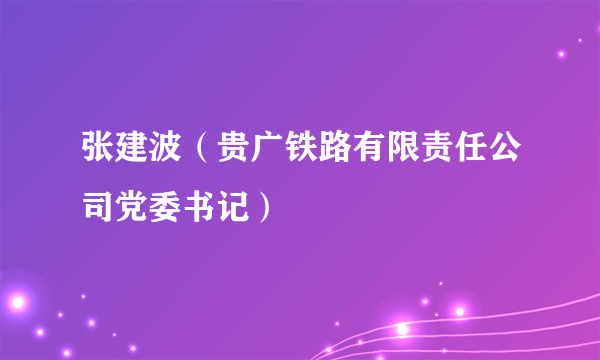 张建波（贵广铁路有限责任公司党委书记）