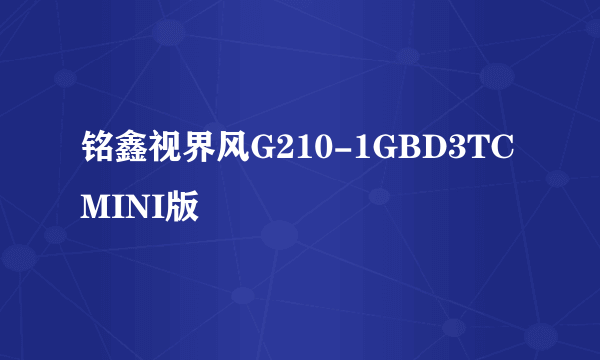 铭鑫视界风G210-1GBD3TC MINI版