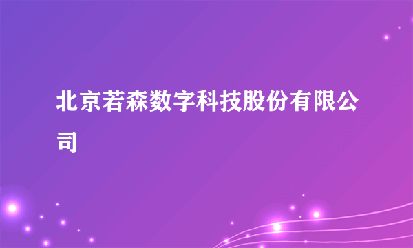 北京若森数字科技股份有限公司