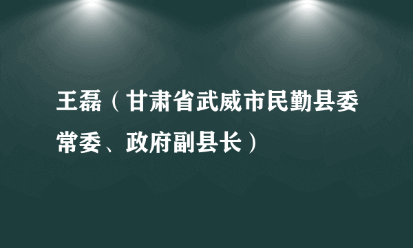 王磊（甘肃省武威市民勤县委常委、政府副县长）