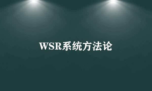 WSR系统方法论