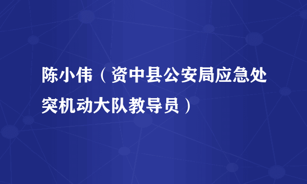 陈小伟（资中县公安局应急处突机动大队教导员）