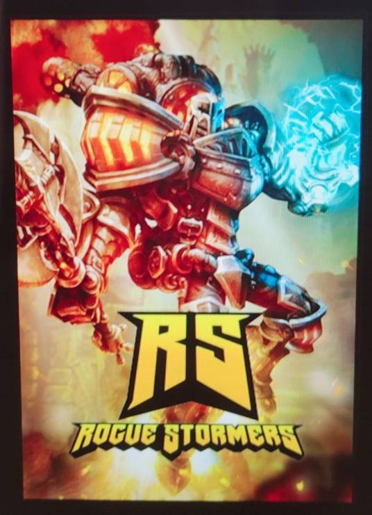 Rogue Stormers