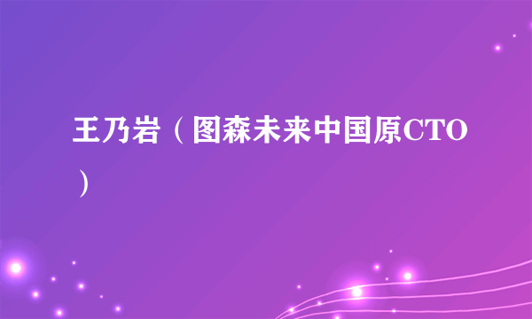 王乃岩（图森未来中国原CTO）