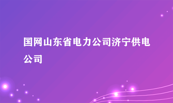 国网山东省电力公司济宁供电公司