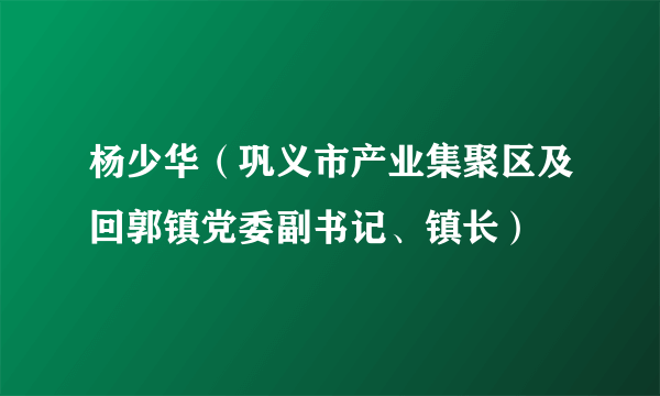 杨少华（巩义市产业集聚区及回郭镇党委副书记、镇长）