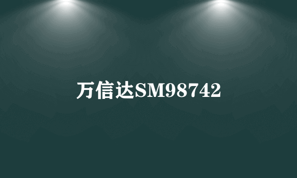 万信达SM98742