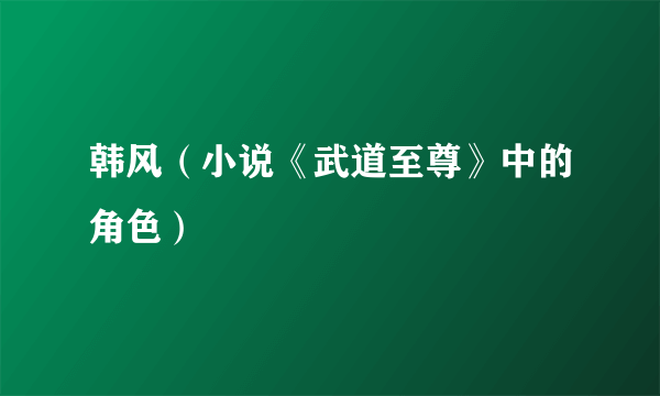 韩风（小说《武道至尊》中的角色）