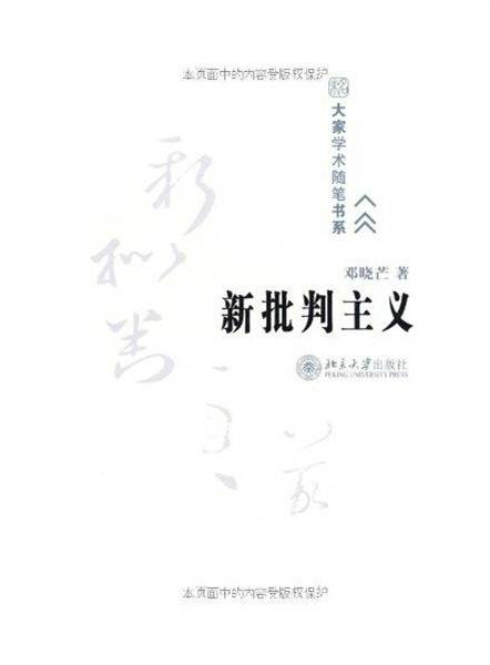 新批判主义（2008年北京大学出版社出版的图书）