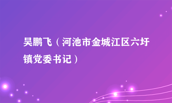 吴鹏飞（河池市金城江区六圩镇党委书记）