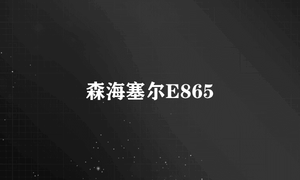 森海塞尔E865