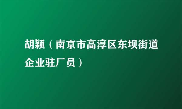 胡颖（南京市高淳区东坝街道企业驻厂员）